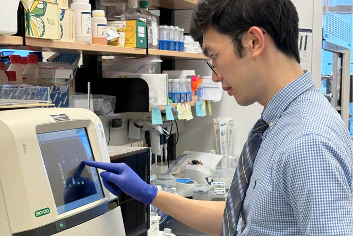 MD-PhD student Vincent Lok checks for successful DNA recombination.