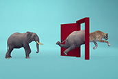 elephant transforming into leopard