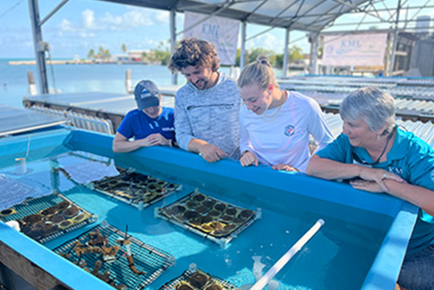 researchers viewing coral