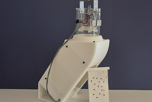 mosquito trap