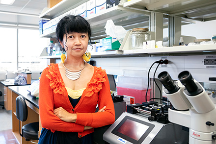 Rays Jiang in lab