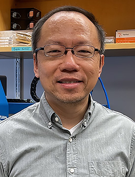 Dr. Yu Chen