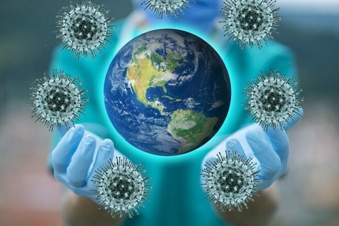 University of South Florida: A Preeminent Research University