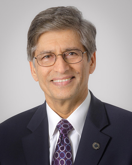 D. Yogi Goswami, Ph.D., P.E.
