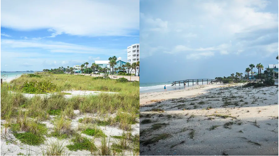 Pinellas County beach before and after Idalia