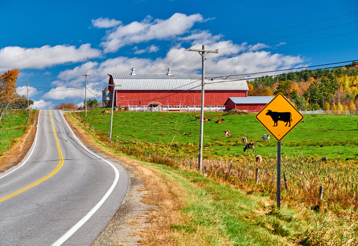 rural road