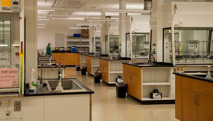 lab