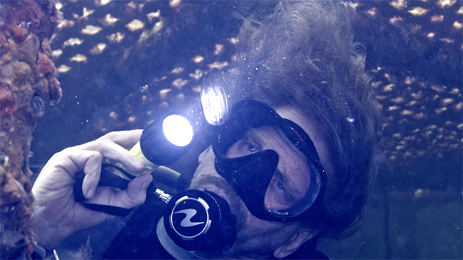 USF’s Dr. Deep Sea breaks world record for living underwater