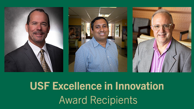 USF Excellence in Innovation Award Recipients