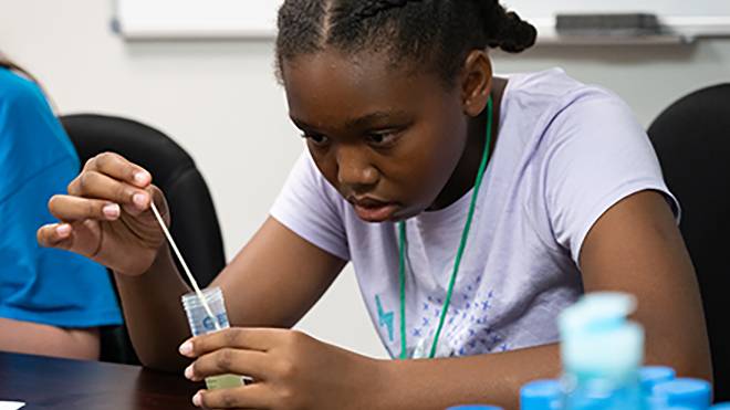 STEM summer student