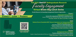 Faculty Engagement Brown Bag Series
