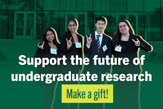 Support Undergraduate Research