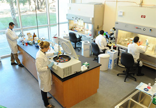 USF Connect lab