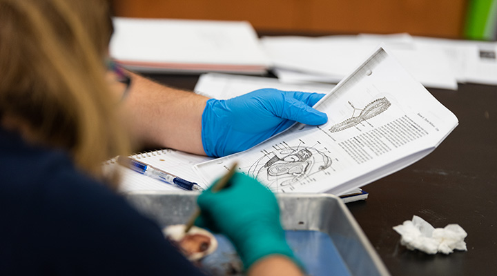 zoology class