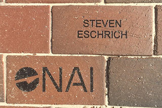 NAI brick