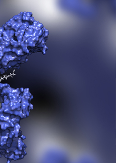 Seeking Solutions to Advance Understanding of ADC Intracellular Traﬃcking