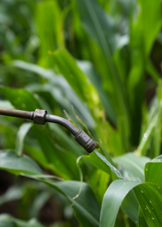 UV protection compounds for agrochemical formulations
