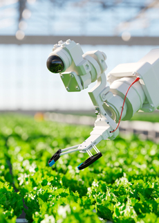 Digital twins and AI for process optimization