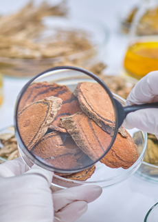 Formation and stability of co-assembled bioactive compounds