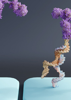 Seeking Synthetic Methods for Chemo- and Site-selective Bioconjugation in Proteins