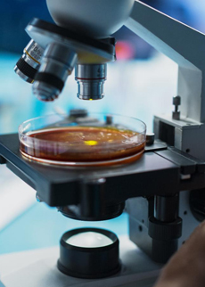TechConnect Critical Technology Challenge: Biotech and Medical