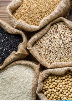 Optimizing extraction and refinement of botanical ingredients