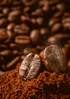 Physical segregation of whole cocoa bean fractions