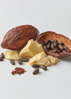 Microbial control technologies for cocoa liquor