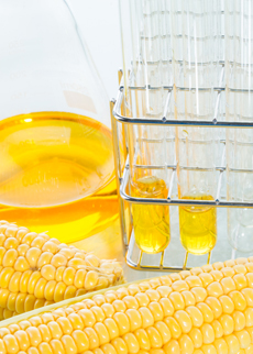 Mycotoxin detection, control, and reduction in corn processing