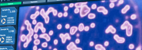 Genos Bioinformatics