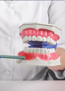 Oral microbiome modulation for improved gum health