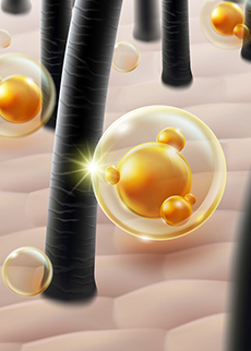 Human hair follicle models for hair growth evaluation