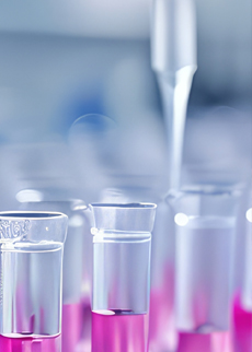 In Vitro Assay Models for Drug Safety and Efficacy Assessment