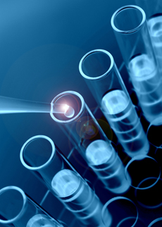 Free in vivo testing: Unleash your molecule's potential as a crop protector