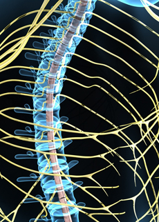 Seeking Novel Therapeutics with Utility in CNS and PNS Indications
