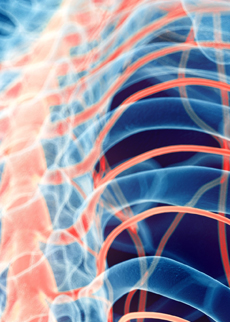 Seeking Novel Druggable Targets in Neuroinflammation and Neuroimmunity