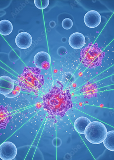 Seeking Novel Therapeutic Approaches in Oncology