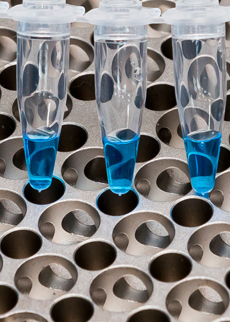 Innovative Oligonucleotide Strategies for Targeted RNA Expression Modulation