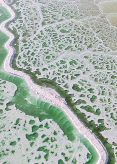 Salt recovery and contaminant removal from waste streams