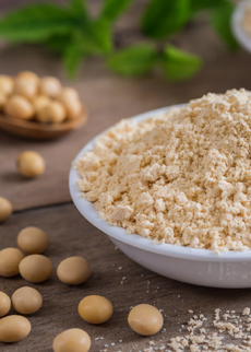 Dry processing technologies for high protein soy fractions