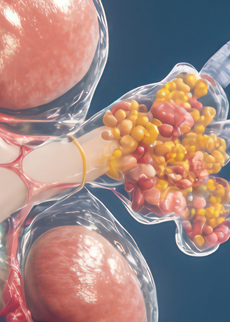 Seeking Drug Candidates to Address Transplant- related Complications