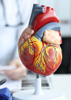 Ventricular heart tissue samples and linked clinical data