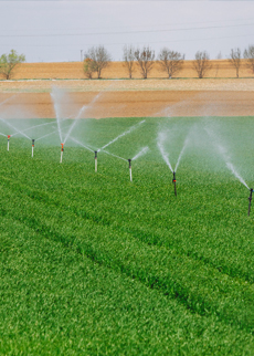 Optimizing water use in cropping systems with water allocation constraints