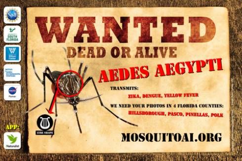 Wanted Dead or Alive poster for mosquitos