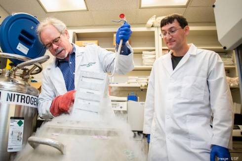 Dr. Thomas McDonald in a USF Health research lab with a student