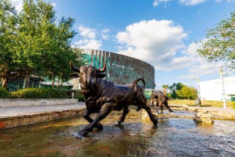 University of South Florida: A Preeminent Research University