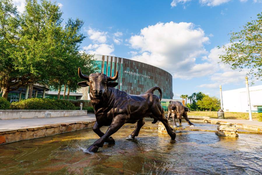 USF Tampa Campus