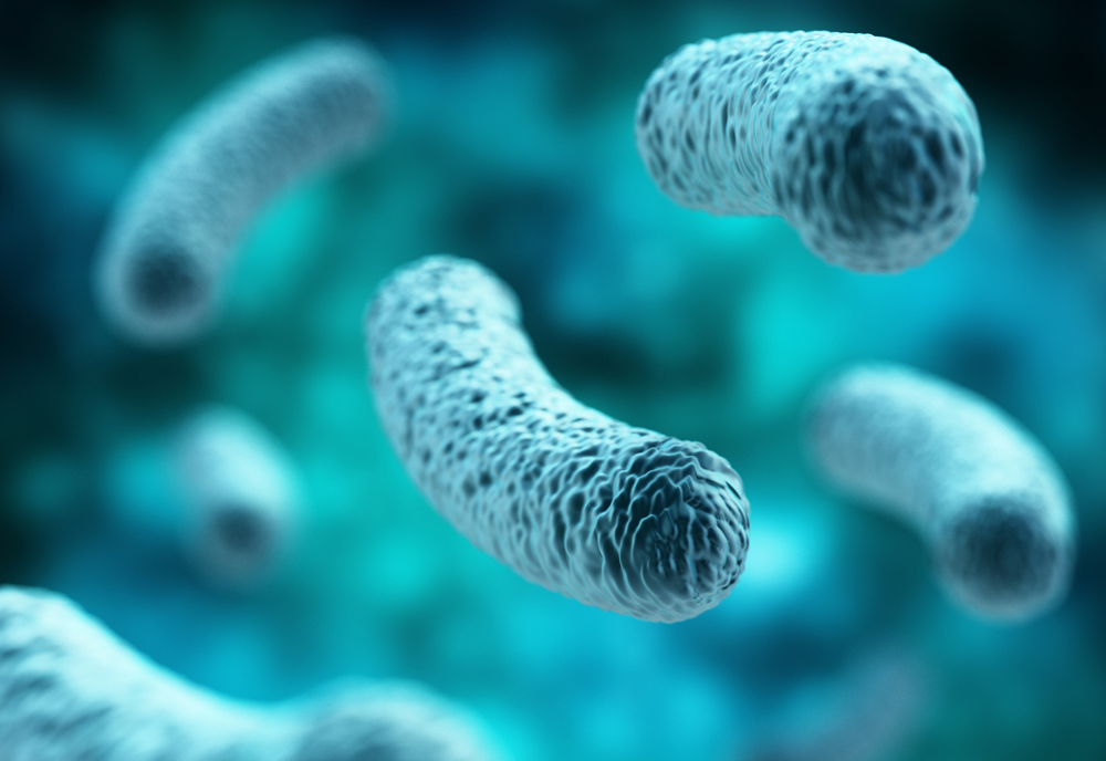 Probiotic strains and proprietary formulae