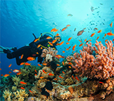 Oceans of Data