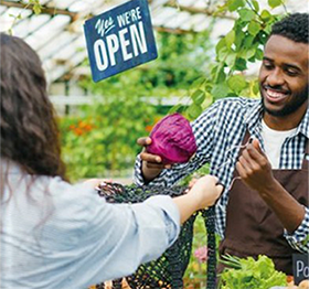 Local Food Systems